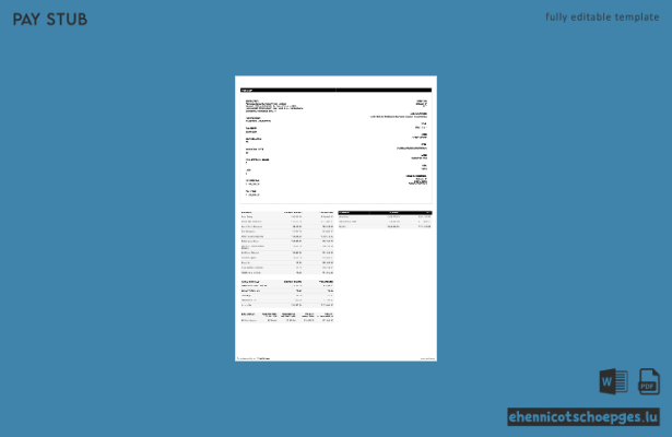 Beispiel einer Gehaltsabrechnung von Abnormal Security India Private Limited